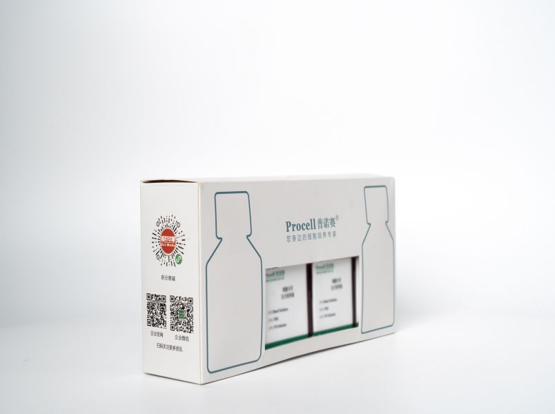 https://789.bio/ec/qaHGZH