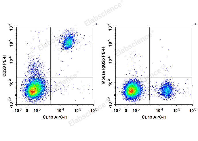 Human peripheral blood lymphocytes are stained with APC Anti-Human CD19 Antibody and PE Anti-Human CD20 Antibody (Left). Lymphocytes are stained with APC Anti-Human CD19 Antibody and PE Mouse IgG2b, κ Isotype Control (Right).