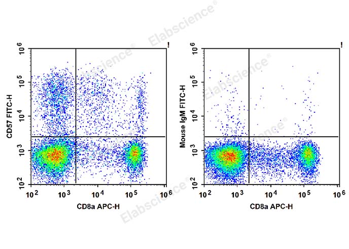 Human peripheral blood lymphocytes are stained with APC Anti-Human CD8a Antibody and FITC Anti-Human CD57 Antibody (Left). Lymphocytes are stained with APC Anti-Human CD8a Antibody and FITC Mouse IgM, κ Isotype Control (Right).