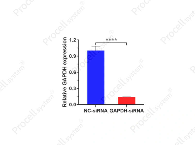 Mergene1000<sup>&reg;</sup> NIH/3T3 Cell-Specific siRNA Transfection Reagent - 2