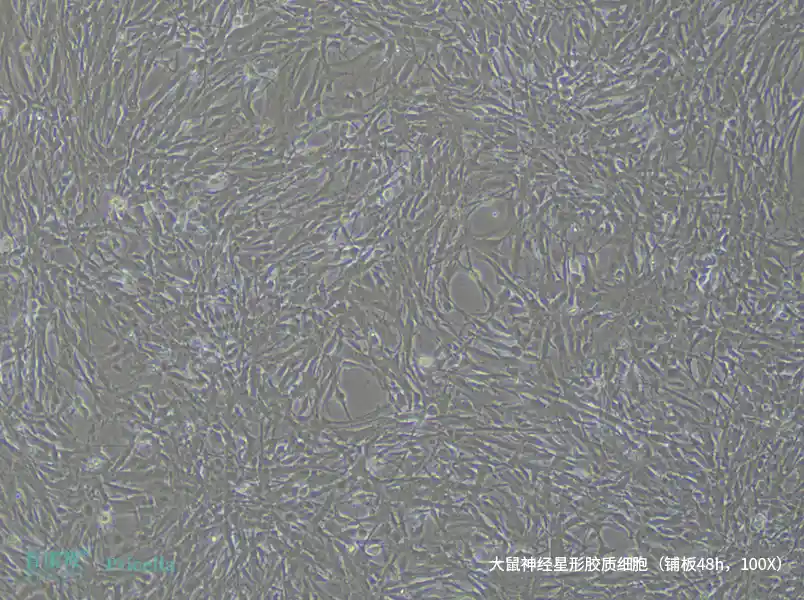 https://789.bio/ec/qeSKh9
