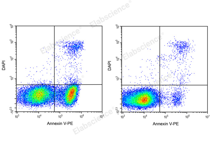 DAPI Reagent (25μg/mL)-产品推荐-4