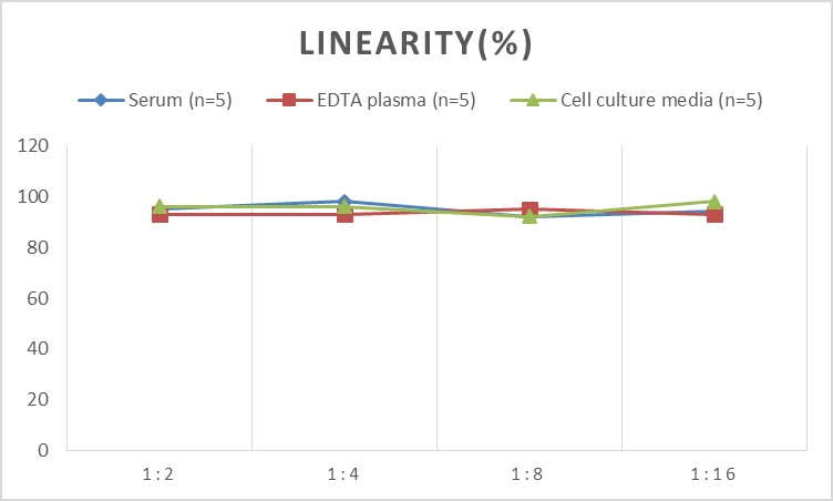 Monkey CTSB (Cathepsin B) ELISA Kit-产品推荐-1