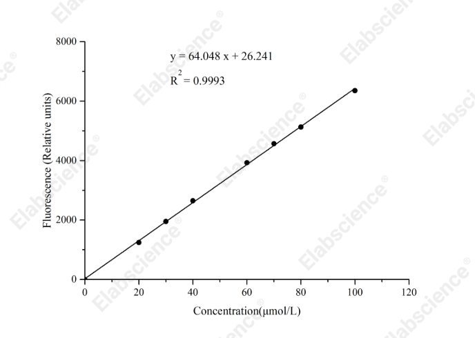 β-Secretase 1 (BACE 1) Activity Fluorometric Assay Kit - 1