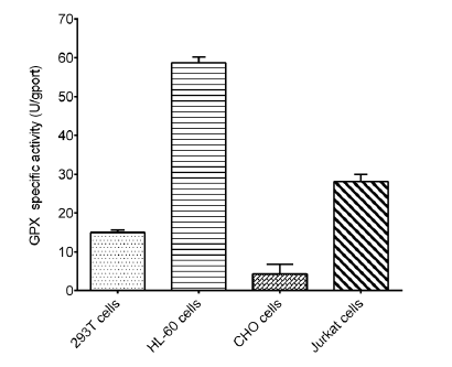 Non-esterified Free Fatty Acids (NEFA/FFA) Colorimetric Assay Kit-产品推荐-1