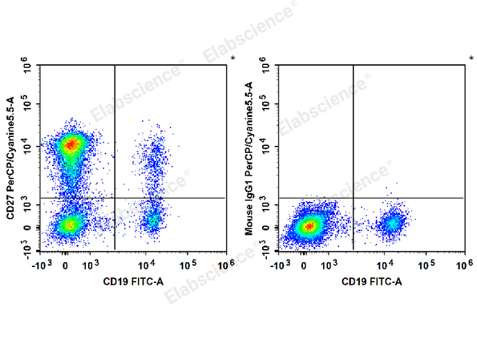 Human peripheral blood lymphocytes are stained with FITC Anti-Human CD19 Antibody and PerCP/Cyanine5.5 Anti-Human CD27 Antibody (Left). Lymphocytes are stained with FITC Anti-Human CD19 Antibody and PerCP/Cyanine5.5 Mouse IgG1, κ Isotype Control (Right).