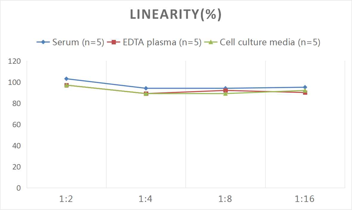 High Sensitivity Rat IL-1β(Interleukin 1 Beta) ELISA Kit-产品推荐-2