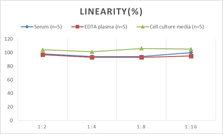 Human VEGF-A(Vascular Endothelial Cell Growth Factor A) ELISA Kit-产品推荐-12