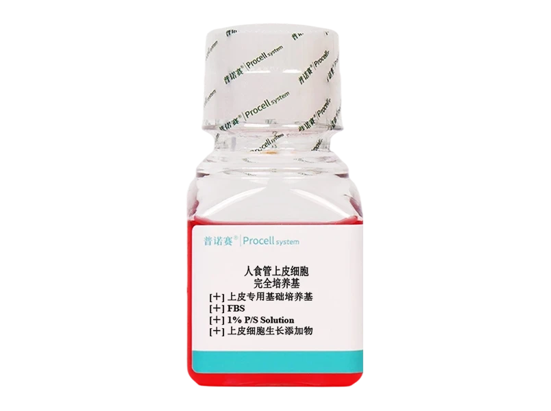 https://789.bio/ec/qrFj2OCc