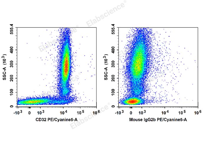 Human peripheral blood leucocytes are stained with PE/Cyanine5 Anti-Human CD32 Antibody (Left). Leucocytes are stained with PE/Cyanine5 Mouse IgG2b, κ Isotype Control (Right).