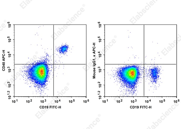 APC Anti-Human CD40 Antibody[HB14] - 1