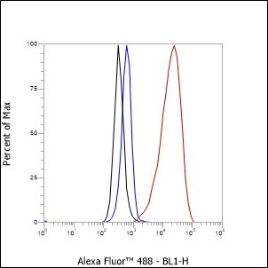 Recombinant OLR1/LOX1 Monoclonal Antibody - 3