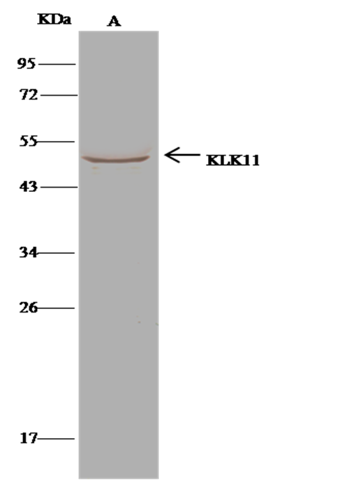 loading
