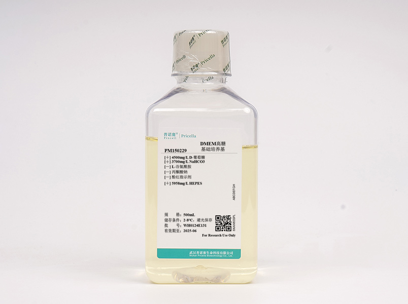 https://789.bio/ec/qyuSVP
