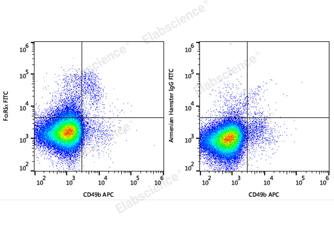 C57BL/6 murine bone marrow cells are stained with APC Anti-Mouse CD49b Antibody and FITC Anti-Mouse FcεRIα Antibody (Left). Bone marrow cells stained with APC Anti-Mouse CD49b Antibody and FITC Armenian Hamster IgG Isotype Control (Right) are used as control.