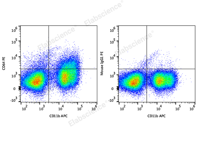 C57BL/6 murine bone marrow cells are stained with APC Anti-Mouse CD11b Antibody and PE Anti-Mouse CD64 Antibody (Left). Bone marrow cells stained with APC Anti-Mouse CD11b Antibody and PE Mouse IgG1, κ Isotype Control (Right) are used as control.