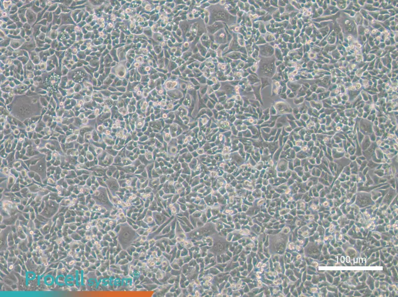 HCT-15-TAXHCT-15-TAX - 2