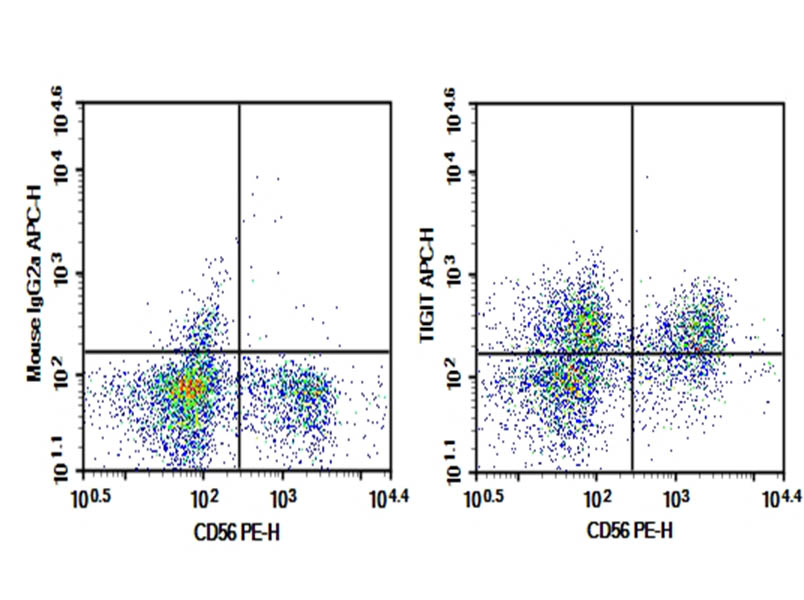 Purified Anti-Human TIGIT Antibody[A15153G]-searchlist-1