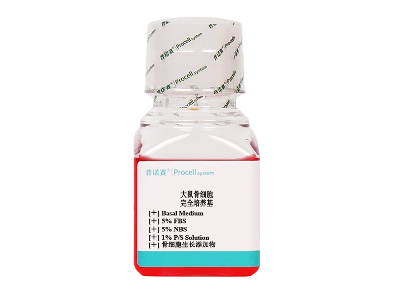 https://789.bio/ec/rF7AVKQo