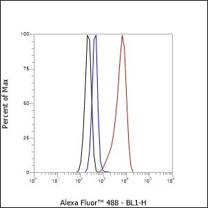 Recombinant COX IV Monoclonal Antibody - small - 4