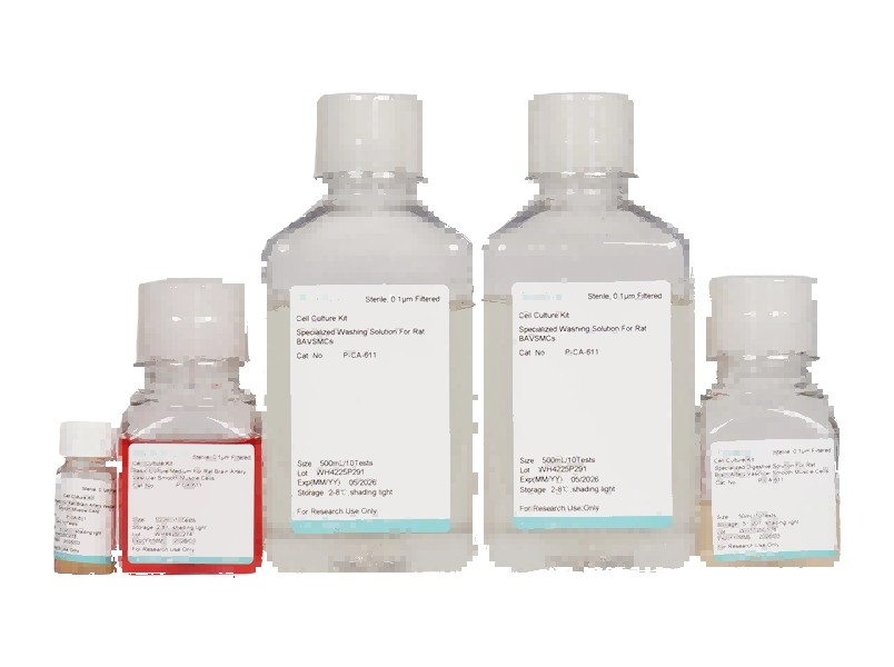 Rat Brain Artery Vascular Smooth Muscle Cell Isolation and Culture KitRat Brain Artery Vascular Smooth Muscle Cell Isolation and Culture Kit - 2