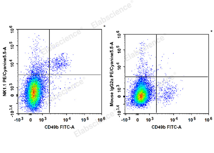 C57BL/6 murine splenocytes are stained with FITC Anti-Mouse CD49b Antibody and PE/Cyanine5.5 Anti-Mouse CD161/NK1.1 Antibody (Left). Splenocytes are stained with FITC Anti-Mouse CD49b Antibody and PE/Cyanine5.5 Mouse IgG2a, κ Isotype Control (Right).