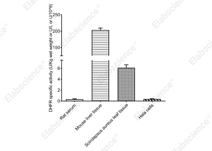 Dihydrofolate Reductase (DHFR) Activity Colorimetric Assay Kit - 1