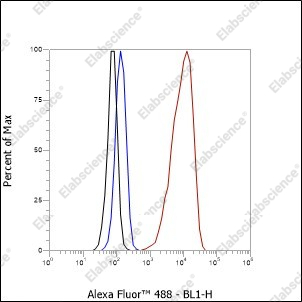 Recombinant NCAM1/CD56 Monoclonal Antibody - 2