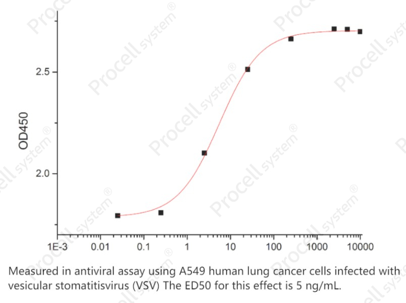 IFN-α2B, Human, RecombinantIFN-α2B, Human, Recombinant - 2