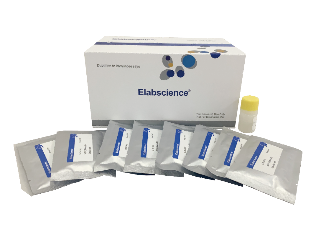 β-lactamase (Beta-Lactamase) Lateral Flow Assay Kit - 2