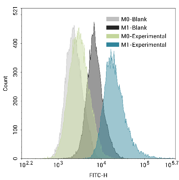 Nitric Oxide Synthase (NOS) Activity Fluorometric Assay Kit - 1