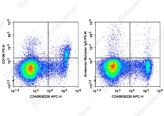 PE Anti-Mouse CD196 Antibody[29-2L17] - 1