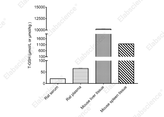 Total Glutathione (T-GSH)/Oxidized Glutathione (GSSG) Colorimetric Assay Kit - 3