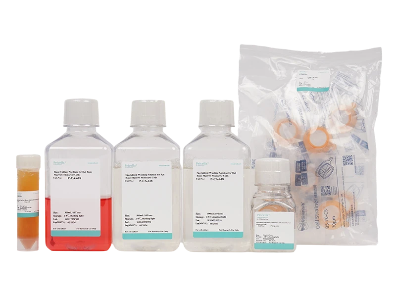Rat Bone Marrow Monocyte Cells Isolation and Culture Kit - small - 2