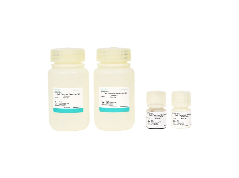 Micro Exosome Isolation Kit-searchlist-1
