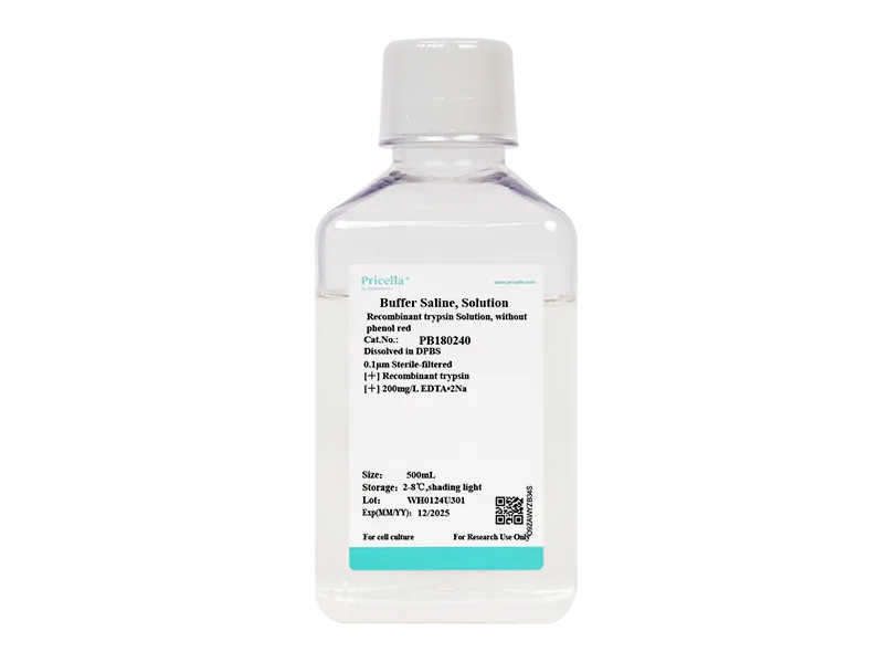 Recombinant trypsin Solution, without phenol red - small - 2