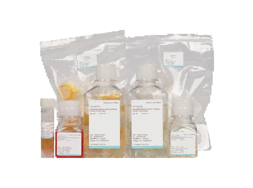 Mouse Articular Chondrocyte Isolation and Culture KitMouse Articular Chondrocyte Isolation and Culture Kit - 2
