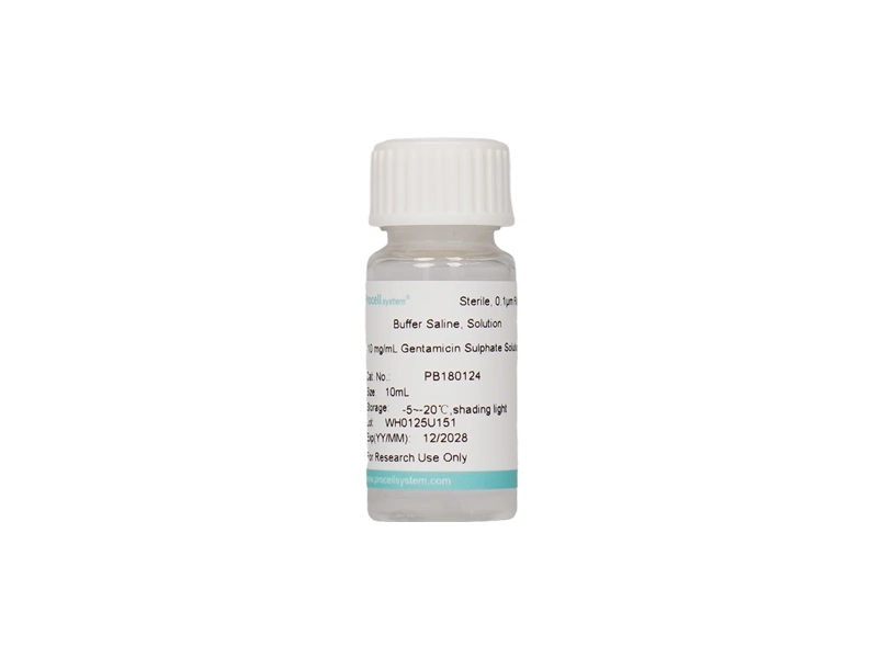 10 mg/mL Gentamicin Sulphate Solution