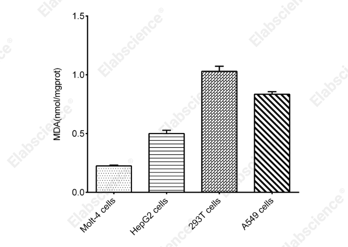 Enhanced Cell Malondialdehyde (MDA) Colorimetric Assay Kit - 1