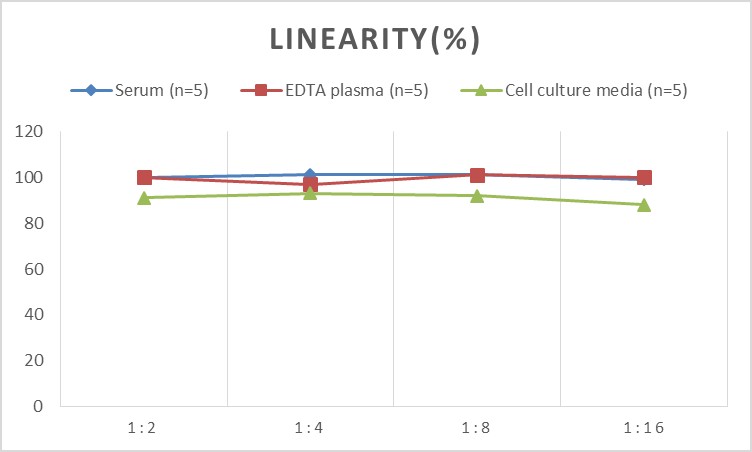 Human VCAM-1/CD106(Vascular Cell Adhesion Molecule 1) ELISA Kit-产品推荐-1