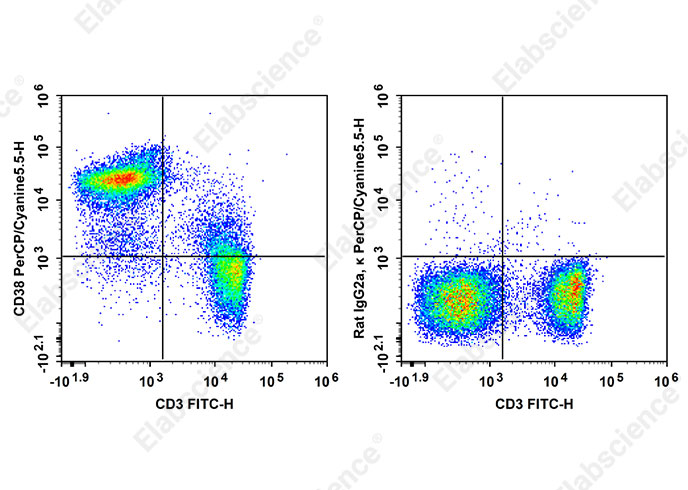 PerCP/Cyanine5.5 Anti-Mouse CD38 Antibody[90]-searchlist-1