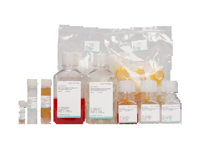 Mouse Liver Sinusoidal Endothelial Cell Isolation and Culture KitMouse Liver Sinusoidal Endothelial Cell Isolation and Culture Kit - 2
