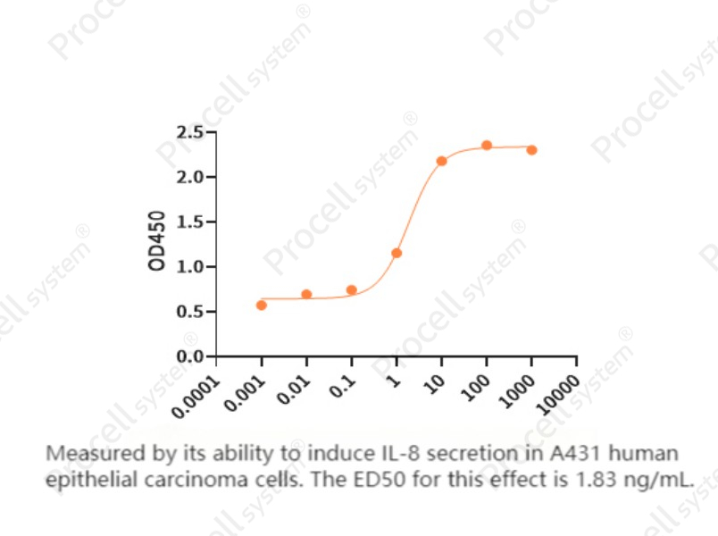 IL-36α, Human, RecombinantIL-36α, Human, Recombinant - 2