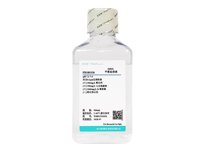 https://789.bio/ec/sfBuD0F5