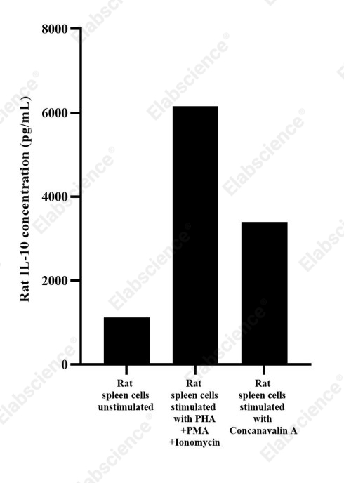 Uncoated Rat IL-10(Interleukin 10) ELISA Kit - 2
