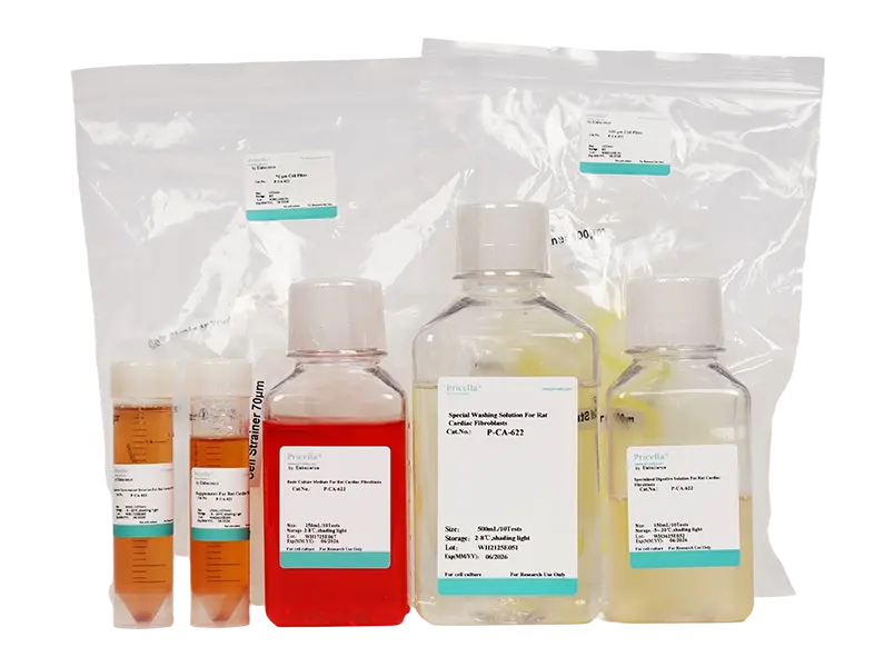 Rat Cardiac Fibroblast Isolation and Culture Kit - 3