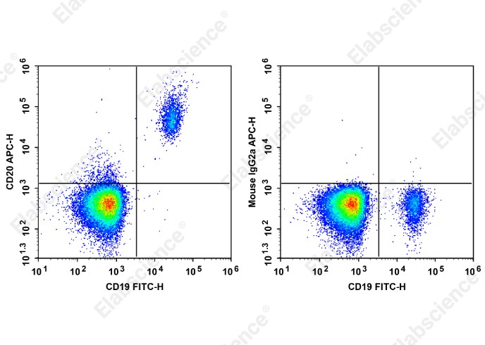 APC Anti-Human CD20 Antibody[HI20a] - 1