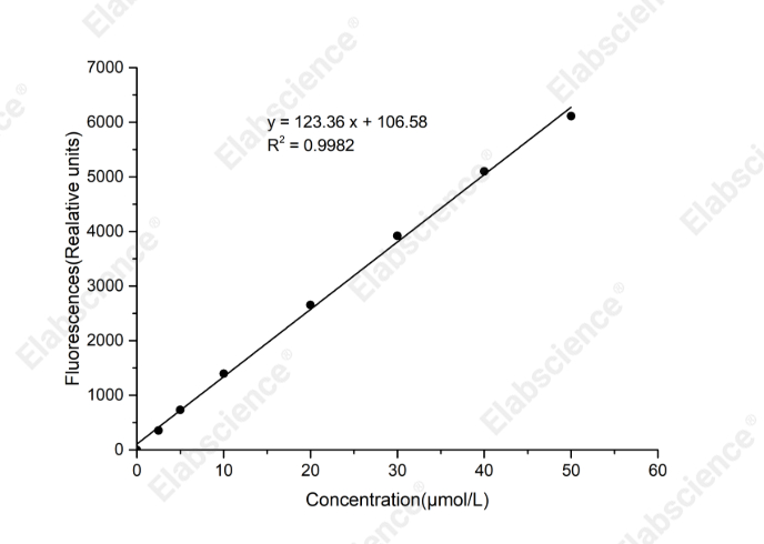 Xanthine/Hypoxanthine Fluorometric Assay Kit - 1