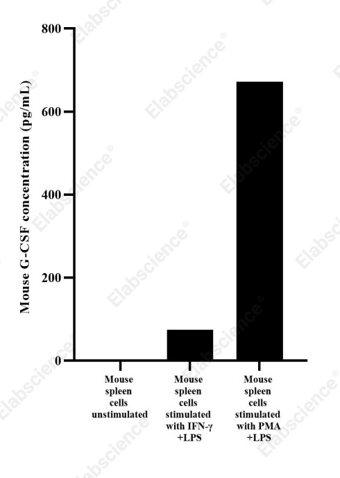 Uncoated Mouse G-CSF(Granulocyte Colony-stimulating Factor) ELISA Kit - 2