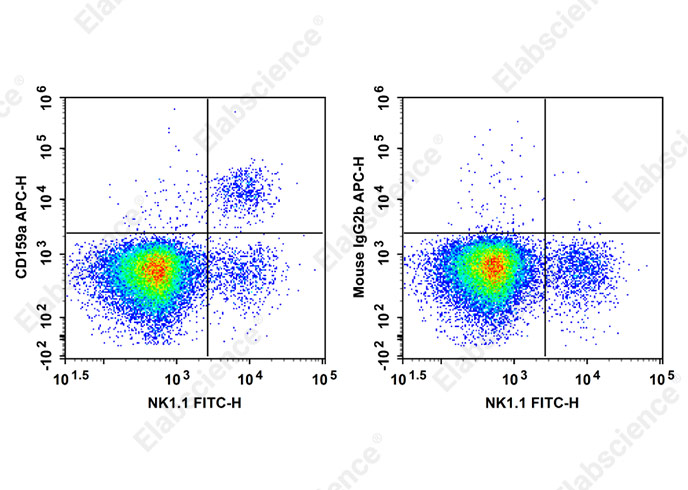 APC Anti-Mouse CD159a Antibody[16A11]-1